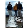 Image 4 : Alaska: Fishing Bear Charters, 2 Day Salmon 