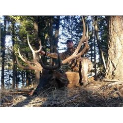 Twisted Horn Outfitters: Guided Trophy Washington Archery Elk Hunt