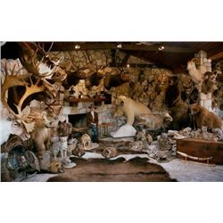 KEY ITEM #4 – Trophy Room Restoration