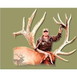Northern Saskatchewan: Pine Mountain Outfitters, 2 day Trophy Elk Hunt for 2 Hunters