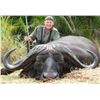 Image 2 : Tanzania: Selous Game Reserve, Cape Buffalo Hunt