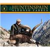 Image 1 : Spain: Huntinspain, Trophy Mouflon Sheep, Fallow Deer or Red Deer