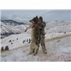 Ruggs Outfitting: Guided 5 Day Wolf Hunt in Montana