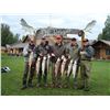 Image 2 : 6 Day/5 Night Remote Alaska Guided Salmon Fishing Trip for One (1) Angler
