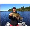 Image 2 : 6 Night / 5 Day Semi-Guided Fishing Trip on Lake Gogebic, Michigan
