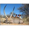 Image 2 : South Africa: Limcroma Safaris, 10 Day Plains Game Hunting Safari for 2 Hunters