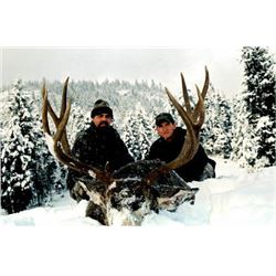 7-Day Two for One British Columbia Choice of Species Hunt