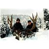 Image 1 : 7-Day Two for One British Columbia Choice of Species Hunt