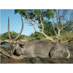 South Africa: Northern Limpopo Province, 6-Day Safari for Waterbuck, Bushpig and Impala