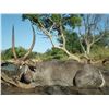 Image 1 : South Africa: Northern Limpopo Province, 6-Day Safari for Waterbuck, Bushpig and Impala