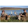 Image 1 : Ohio Whitetail Hunt for Two Hunters