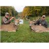 Image 4 : Ohio Whitetail Hunt for Two Hunters
