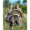 Image 2 : Guided Turkey Hunt for Two in the Spring or Fall of 2015 with Bearpaw Outfitters