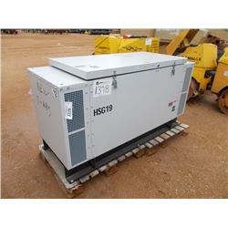 GENMAG HSG19 HOME STANDBY GENERATOR, NATURAL GAS/LP GAS, 22K VA, 240V-60HZ, FIAT ENGINE