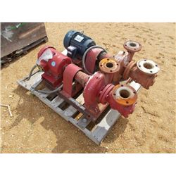 1 LOT (2) WATE PUMPS, ELETRIC MOTOR