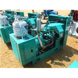 ONAN GENERATOR SET, I860838677, LP GAS, BACKUP POWER FOR MAJOR RETAIL CHAIN