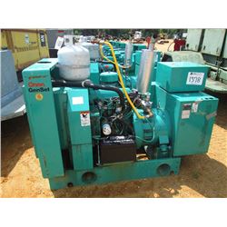 ONAN GENERATOR SET 35 SJB, S/N C910375673, LP GAS