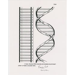 DNA: Watson and Crick
