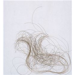 Ludwig van Beethoven