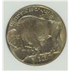 Image 3 : 1913 I BUFFALO NICKEL NGC MS-66