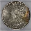 Image 2 : 1889 MORGAN DOLLAR ICG MS-62