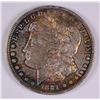 Image 1 : 1881-O MORGAN DOLLAR MS-64 (AMAZING TONING)