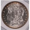 Image 2 : 1904 MORGAN DOLLAR ANACS MS-64