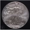 Image 2 : 2009 SILVER AMERICAN EAGLE