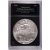Image 1 : 2010 SILVER AMERICAN EAGLE