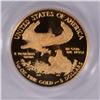 Image 3 : 2010-W $5 PROOF GOLD AMERICAN EAGLE PCGS PR-70 DCAM