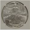 Image 2 : 2004 AMERICAN SILVER EAGLE, NGC MS-69