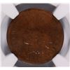 Image 2 : 1869/69 INDIAN HEAD CENT NGC VG DETAILS
