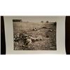 Image 1 : Original Wwi Photo War Dead On Battlefield Remains
