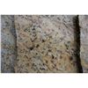 Image 2 : BLUE LEOPARD GRANITE 128 X 75