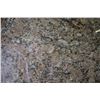 Image 2 : G VENEZIANO GRANITE 110 X 72