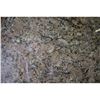 Image 2 : G VENEZIANO GRANITE 110 X 72