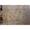 Image 2 : EARTH GRANITE 109 X 71