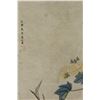 Image 2 : Chinese WC Bird & Tree Scroll Gao Shiqi 1645-1704