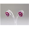 Image 2 : Sterling Silver Ruby (3.80 ct) Earrings CRV$750