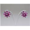Image 1 : Sterling Silver Ruby (4.80 ct) Earrings CRV$575