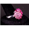 Image 2 : Sterling Silver Ruby (2.0 ct) Ring Appraised $600