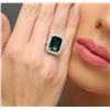 Image 1 : 14KT White Gold 11.30ct Tourmaline and Diamond Ring