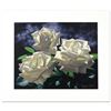 Image 1 : White Roses by Brian Davis