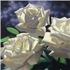 Image 2 : White Roses by Brian Davis