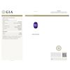 Image 8 : 18KT White Gold GIA Certified 15.39ct Tanzanite and Diamond Ring