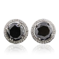 14KT White Gold 6.27ctw Black Diamond and Diamond Earrings