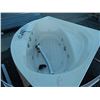 Image 1 : CORNER JET TUB - WITH PUMP - FROM RECENT RENOVATION - WITH SKIRT ENCLOSURE