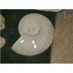 CONCRETE - FOSSIL TRIBULITE