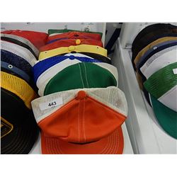 COLLECTABLE AND OTHER BASEBALL CAPS - 11