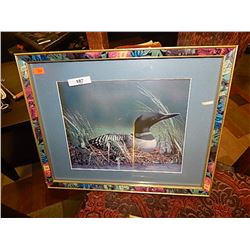 FRAMED PICTURE - LOON